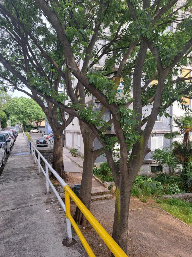 Belvia Apartman Fiume Kültér fotó